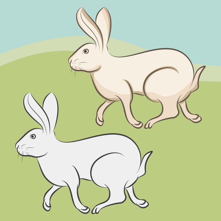 63年兔女今天的财运如何(财运亨通财源滚滚来)