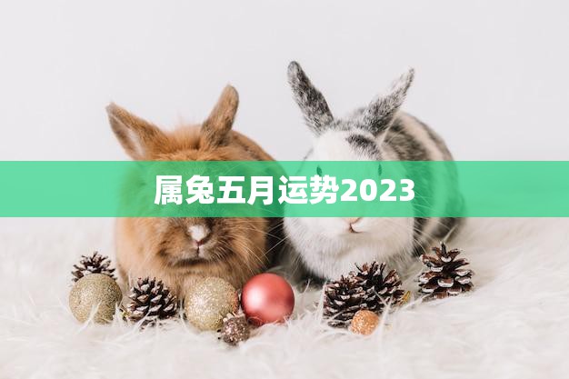 属兔五月运势2023(事业顺利财运亨通)