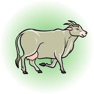 白羊座的男生特点性格分析(热情奔放勇往直前)