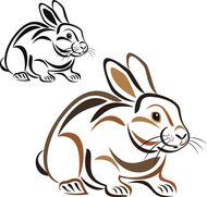 1963年男兔最佳配偶(如何选择最适合的伴侣)