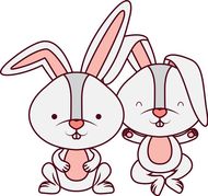 属兔的今年婚姻状况如何(2023年属兔人的婚姻运势解析)