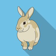 属兔的最适合的创业行业(如何选择最适合自己的创业领域)