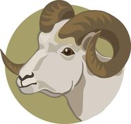 2023年白羊座5月运势(事业上有所突破感情生活渐入佳境)