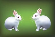 属兔双鱼座2023年运势(好运连连财源滚滚)