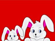 水瓶座属兔2023年运势(充满机遇的未来)