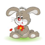 属兔今日运势及财运怎么样(财运亨通事业顺利)