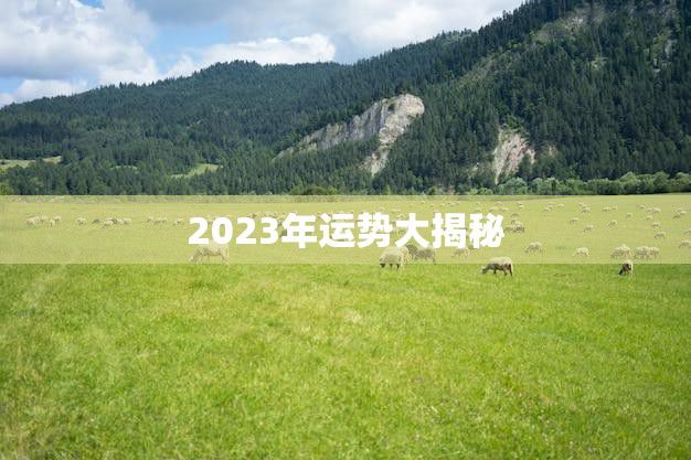2023年运势大揭秘(1991年的羊今年的运势如何)