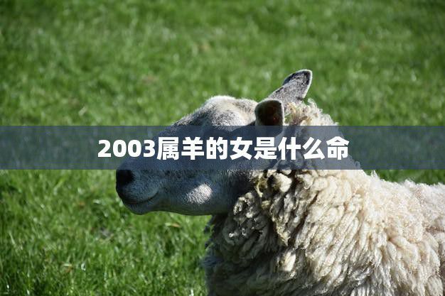 2003属羊的女是什么命(探究命运如何影响她的人生)