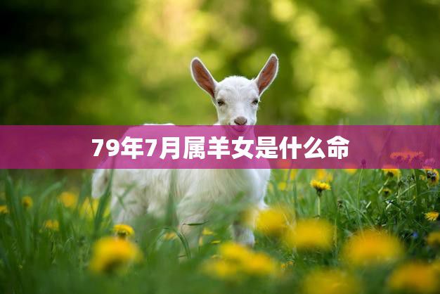 79年7月属羊女是什么命(命运如何安排)