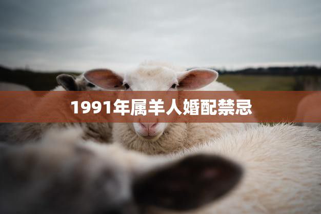 1991年属羊人婚配禁忌(如何避免婚姻破裂)