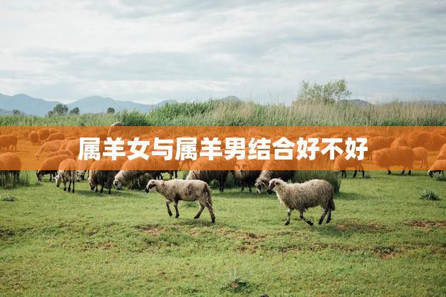 属羊女与属羊男结合好不好(如何避免情感矛盾)