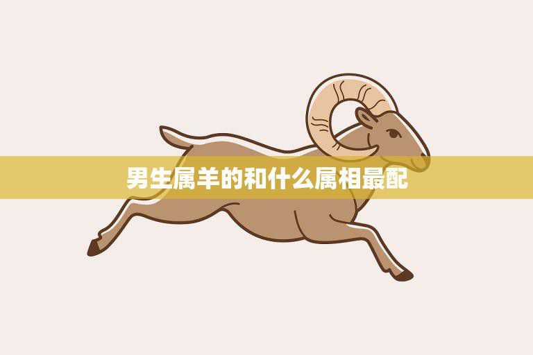 男生属羊的和什么属相最配(探讨十二生肖中最佳配对)