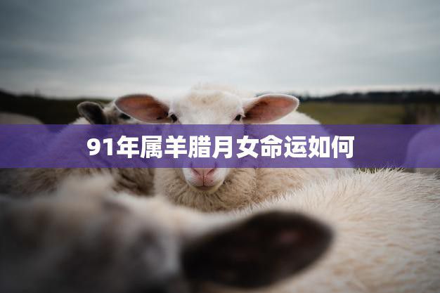91年属羊腊月女命运如何(探寻命运转折点)