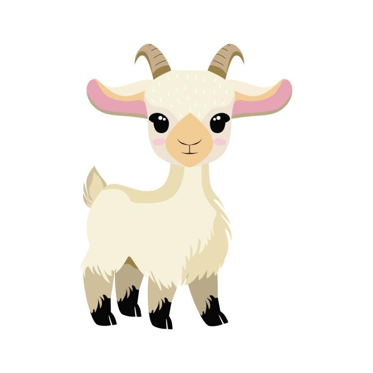 91年的羊与什么属相犯冲(如何化解)