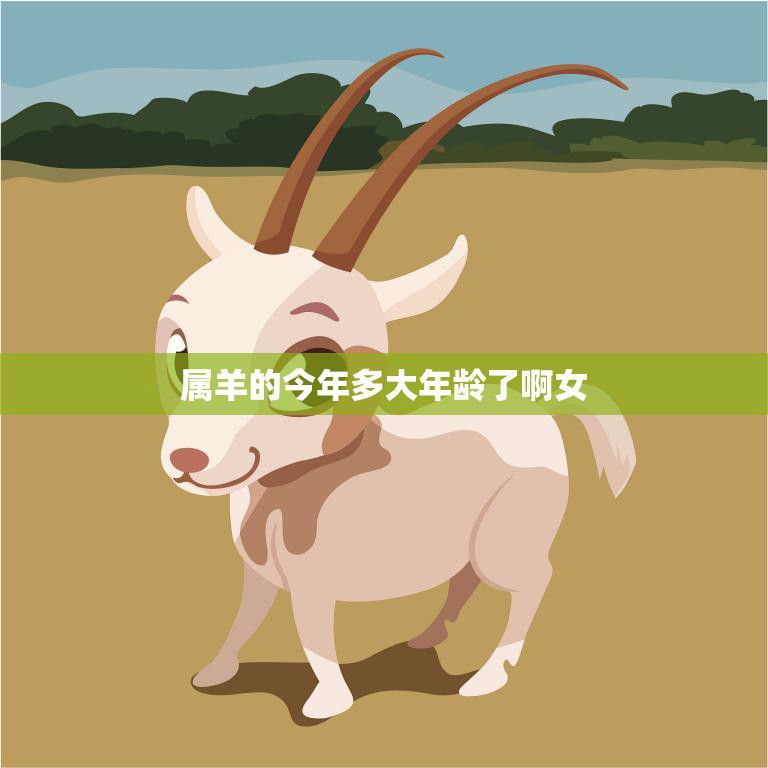 属羊的今年多大年龄了啊女(你知道吗)