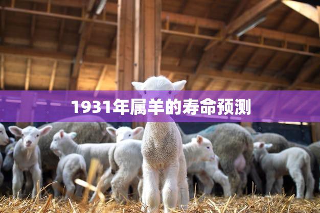 1931年属羊的寿命预测(如何预测命运长河的走向)