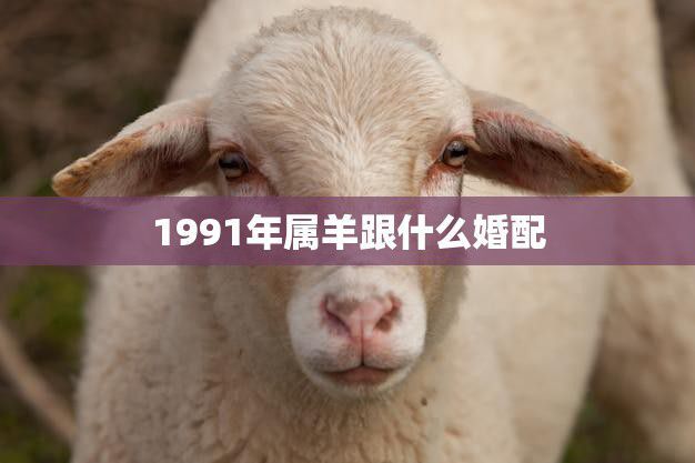 1991年属羊跟什么婚配(最佳婚配星座大揭秘)