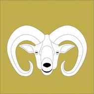 属羊的男人佩戴什么有好运(提升运势的秘诀)