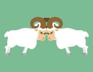 1979属羊的今年多少岁(如何计算属羊人的年龄)