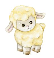 属羊女的最佳婚配是属什么(如何选择最佳婚配)