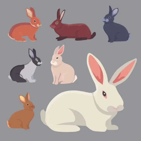 属兔人腊月廿二日专属运势图示 生肖兔今日财运解析