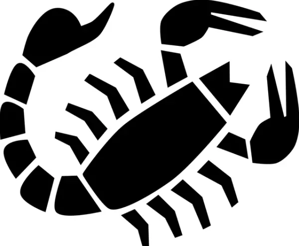 2025年2月9日天蝎能量场示意图 天蝎女运势磁力图