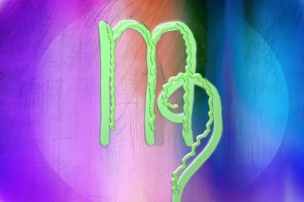 处女座时间管理法