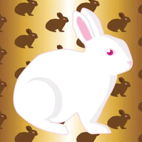 生肖兔招财布局