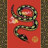 2025生肖运势全解析：财运健康感情指南