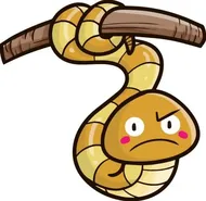 2025生肖运势全解析：12属相运程完整指南