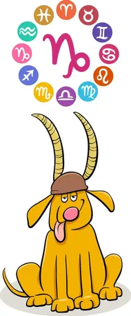 摩羯座今日财运方位指南：提升运势必看