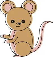 十二生肖圆形表搭配指南：家居风水布局技巧