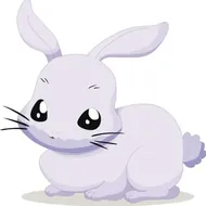 十二生肖出生年份对照表2023最新版