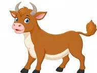 十二生肖五行属性大揭秘：超全对照表与性格解析