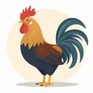 今日来牌运势属鸡的做哪个方向：运势打牌方位选择技巧