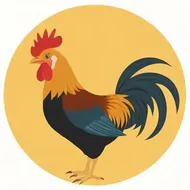 属鸡和什么属相最配对克的什么：属鸡的相克和相合的属相分别是什么