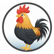 属鸡的今年多大了都是哪一年的，属鸡是哪一年出生的今年几岁