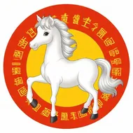 2002年生肖马五行属什么，2002的马是什么命,五行属性