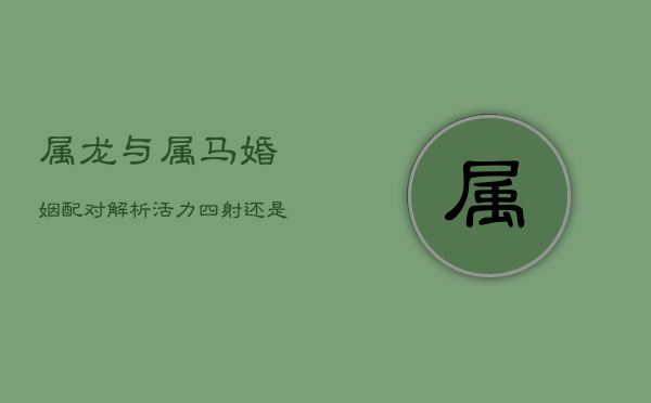 属龙与属马婚姻配对解析:活力四射还是神秘难测? 属龙与属马婚姻配对解析:活力四射还是神秘难测?