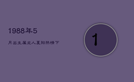 1988年5月出生属龙人：夏阳热情下的婚姻轨迹