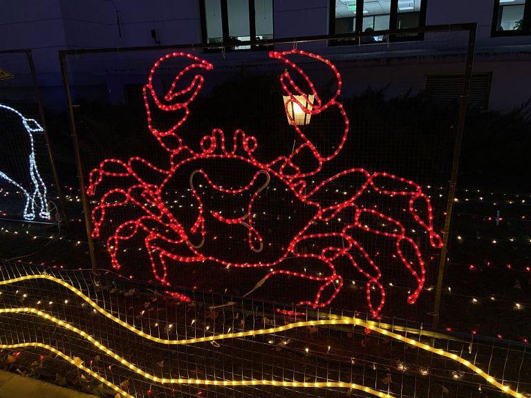 2025巨蟹座共情力提升指南 巨蟹座性格解析详情