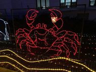 2025女生最爱星座指南：3大热门解析+性格指南