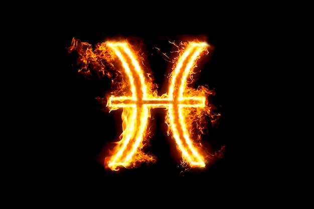 双鱼座情感指南