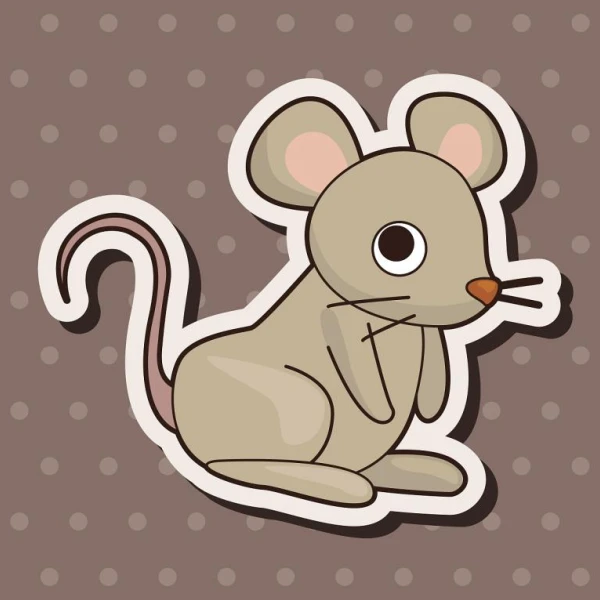 生肖鼠2025财运解析