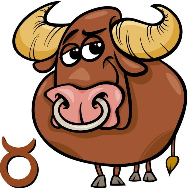 2025年金牛座财富流向示意图 金牛座财富密码