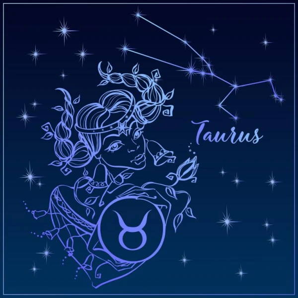 金牛座今日财运分析